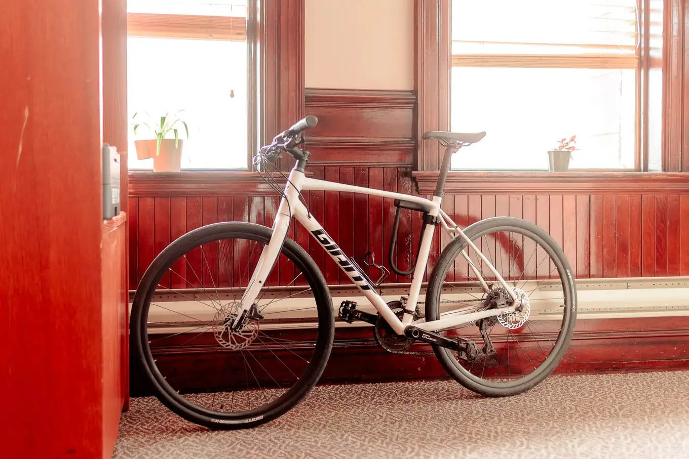 A bicycle parked inside the firm's Moncton office