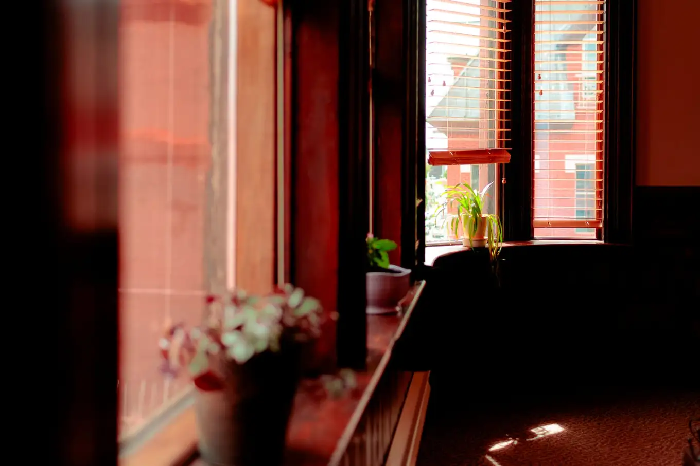 A windowsill in the firm's heritage Moncton office